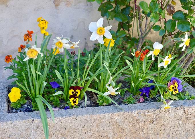 Spring Flower Garden in Planter
