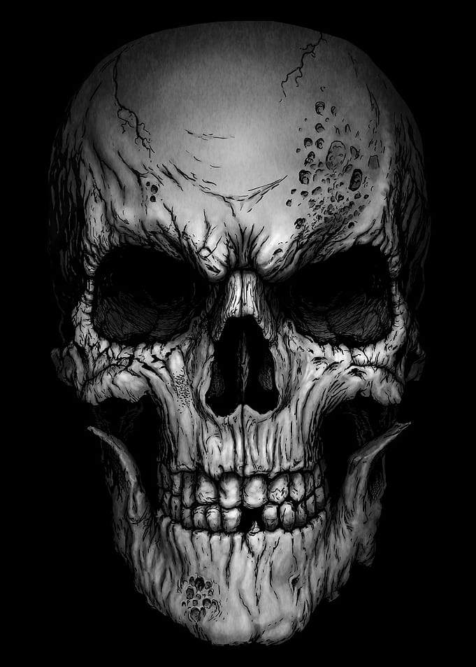 Ancient Skull