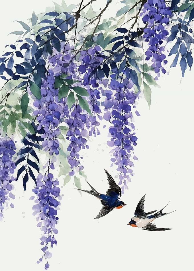 Wisteria and Swallows