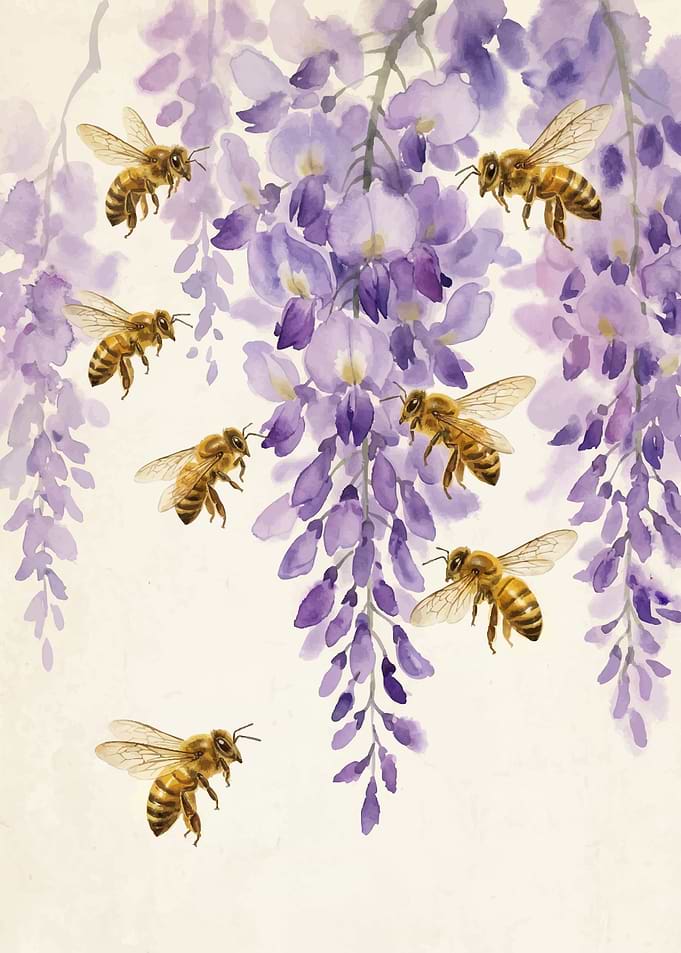 Bees and Wisteria Flowers