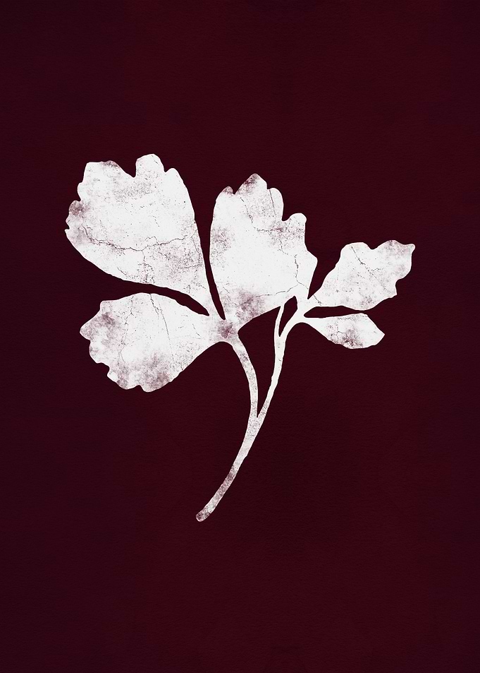 Moody Burgundy Botanical Silhouette - Dark Academia Art