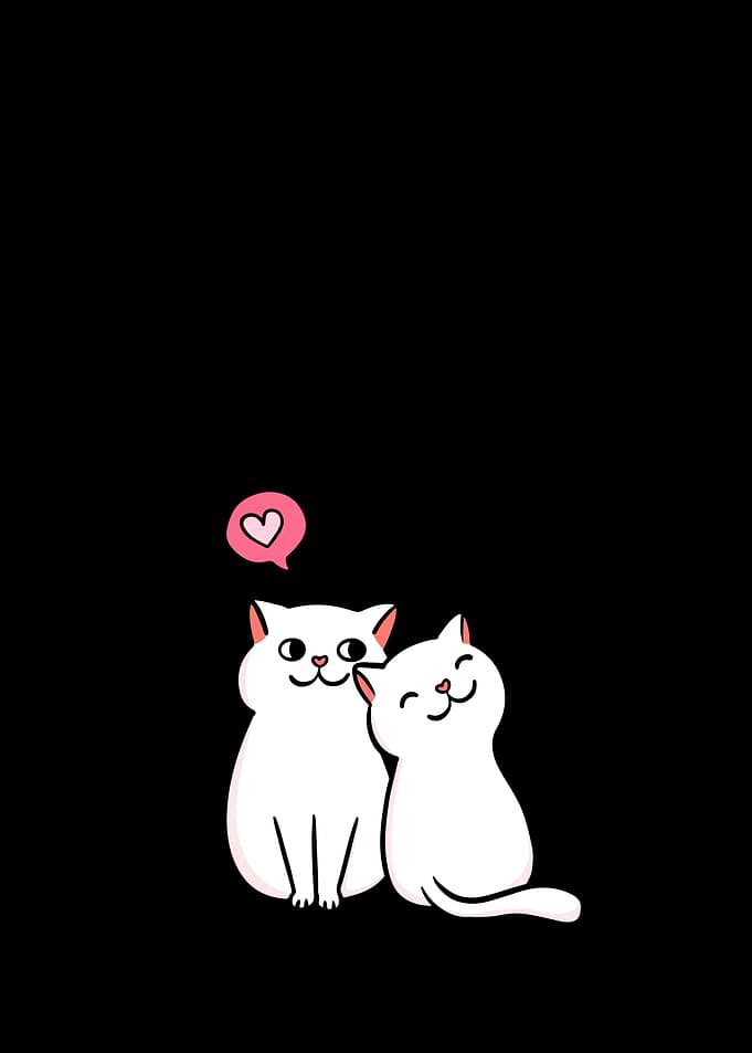 Two White Cats in Love