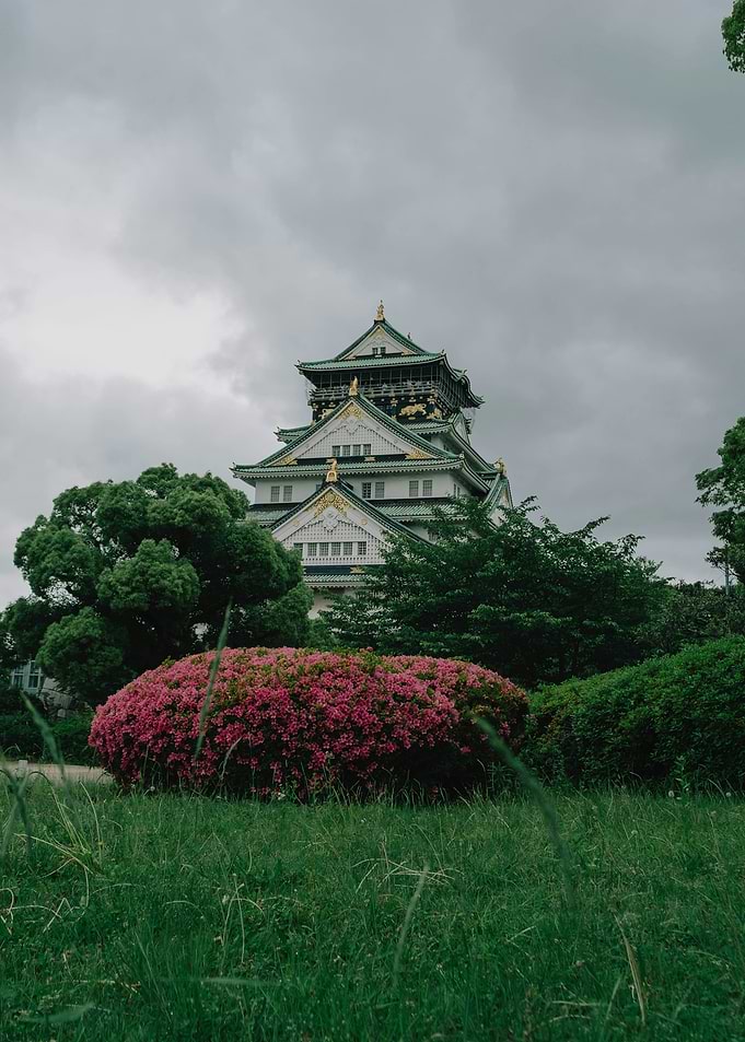 Osaka Castle in Bloom: Pink Azaleas and Overcast Skies
