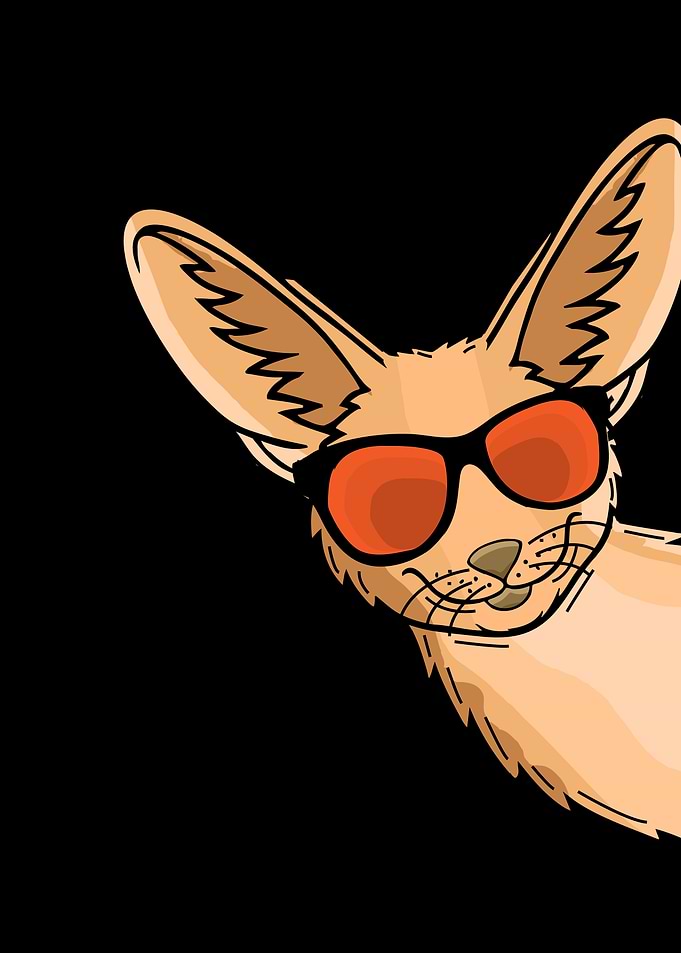 Cool Fennek With Sunglasses Kids Desert Dog Fennek