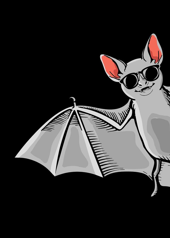 Cool Bat With Sunglasses Kids Bat