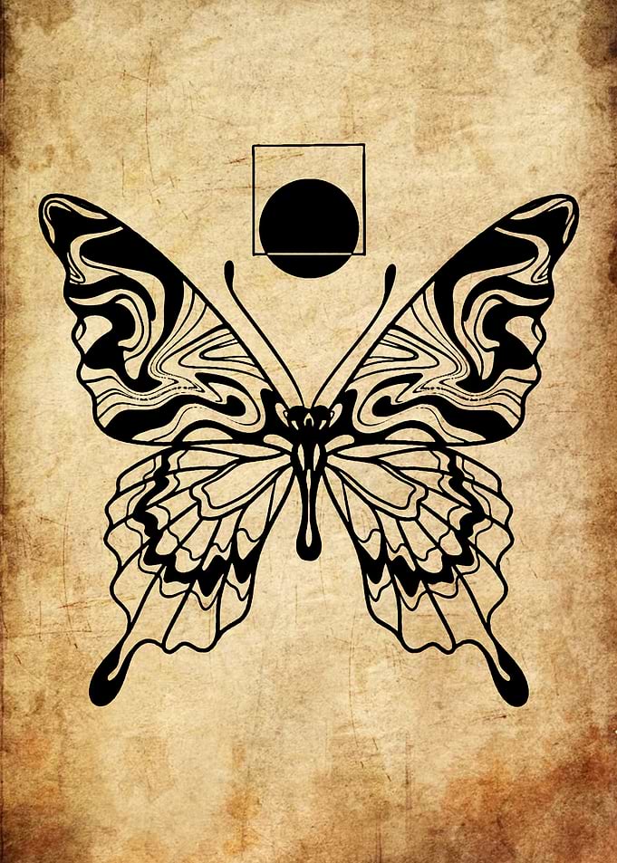 Black Butterfly on Textured Background