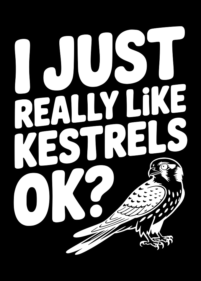 I Just Really Like Kestrels OK?