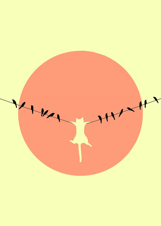 Cat and Birds on a Wire