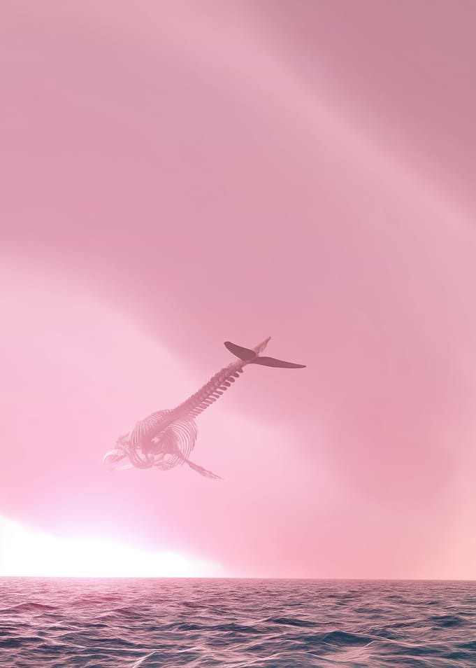 Whale Skeleton in Pink Sky