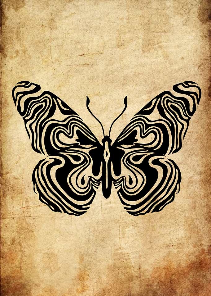 Black and White Butterfly on Textured Background