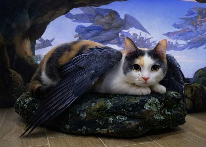 The Purrfallen Angel
