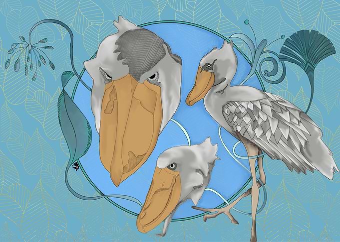 Shoebill stork Art Deco Illustration