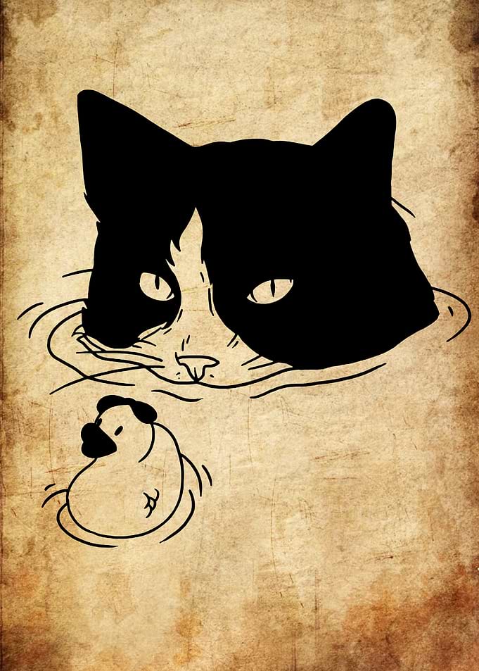 Cat and Rubber Duck in Water