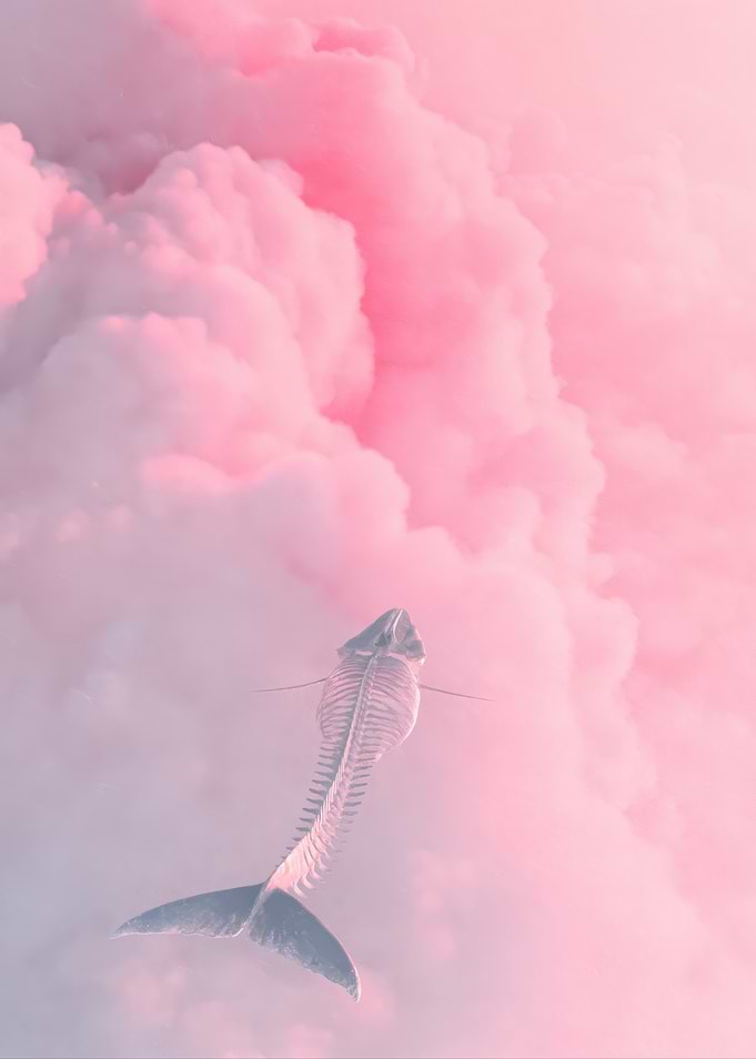 Whale Skeleton in Pink Clouds