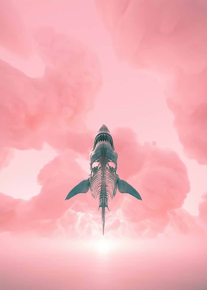 Shark Skeleton in Pink Clouds