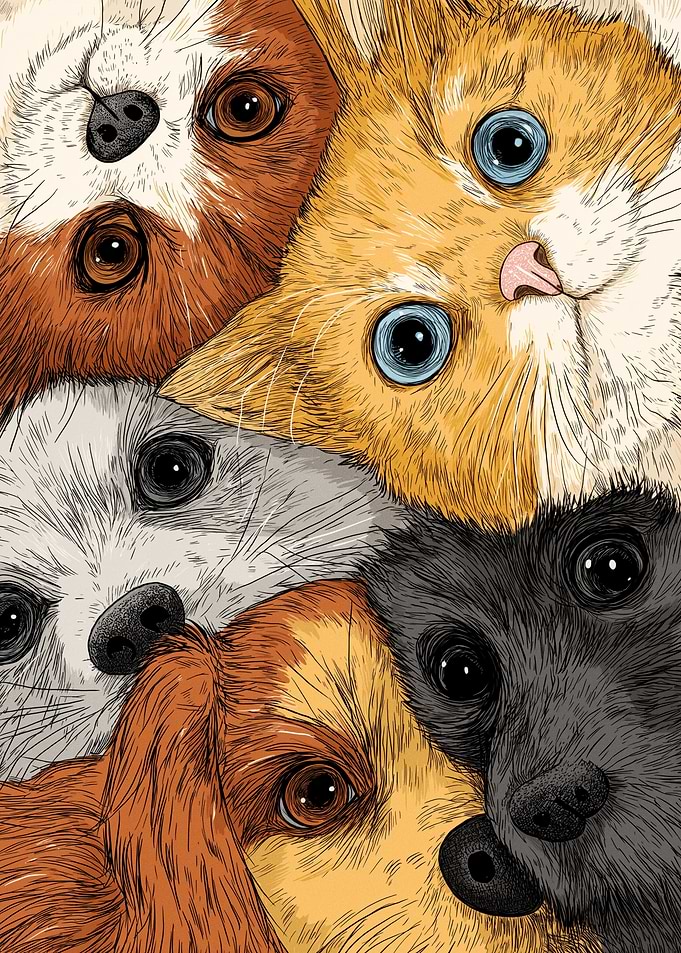 Close-up of Adorable Animal Faces
