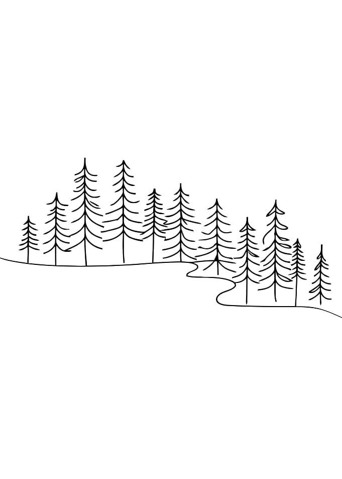 Minimalist Pine Forest and River