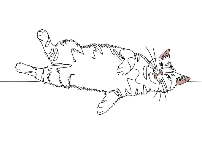 One Line Drawing of a Cat Lying Down
