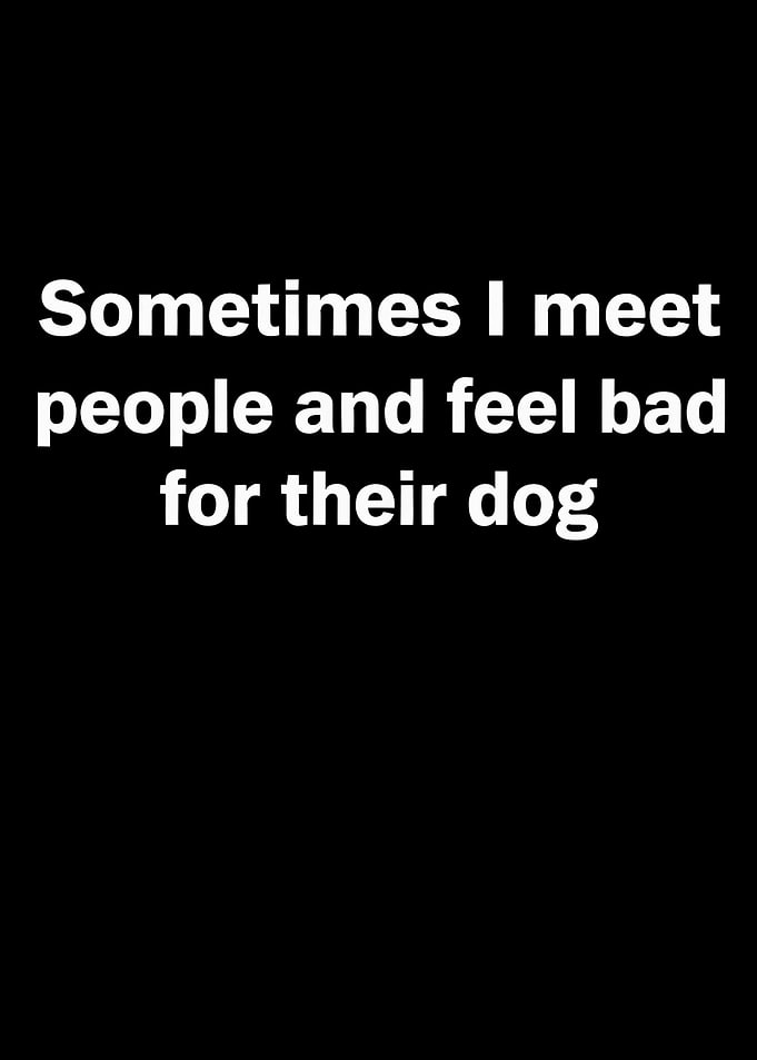 Funny dog owner quote