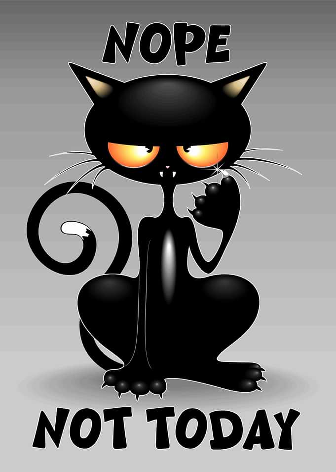 Nope Not Today Black Cat Attitude