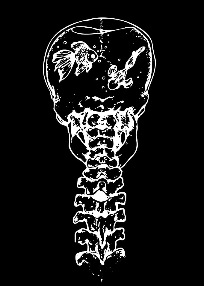 Skull with Fishbowl Head and Spine