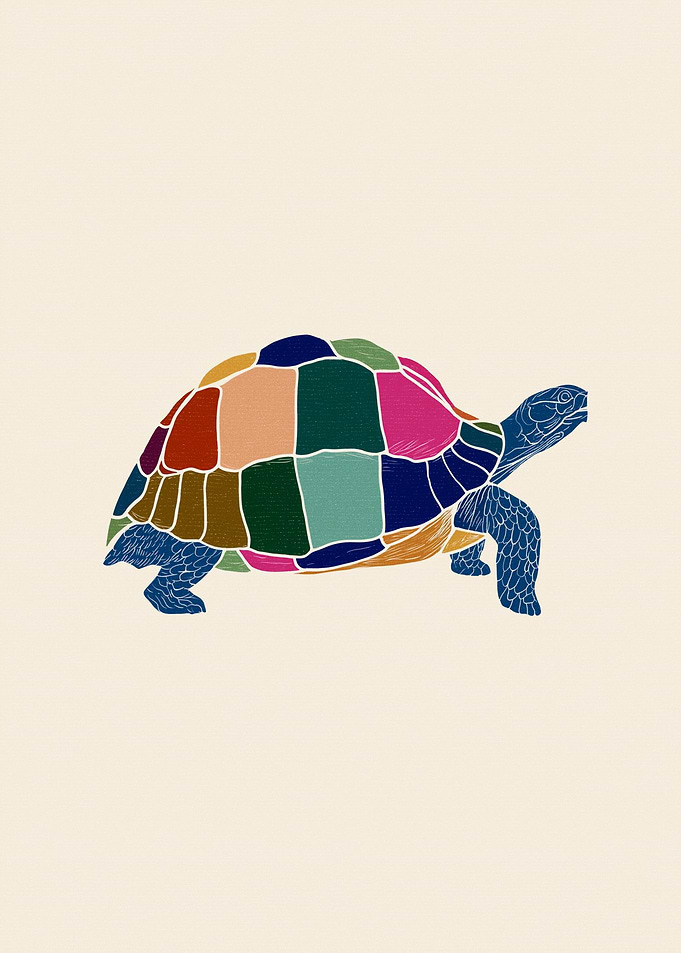 Colorful Geometric Tortoise Illustration