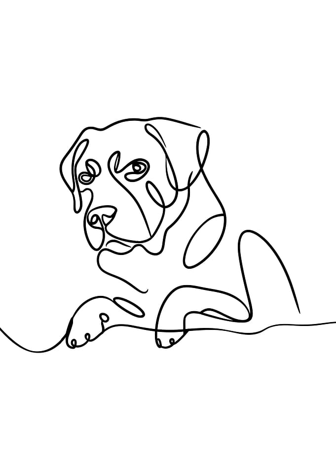 Minimalist Dog Line Art