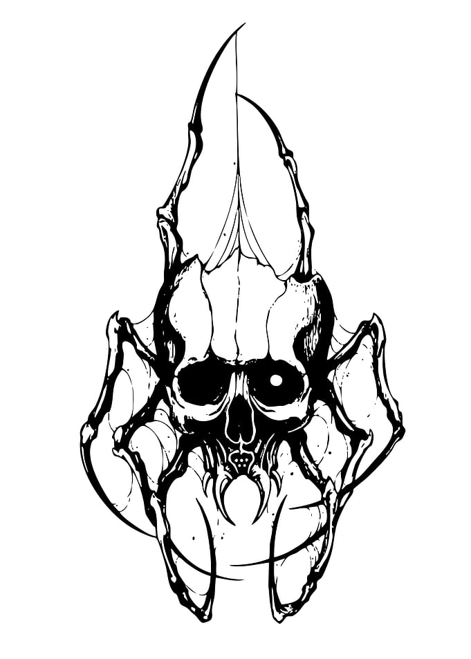 Gothic Skull Spider Web Design