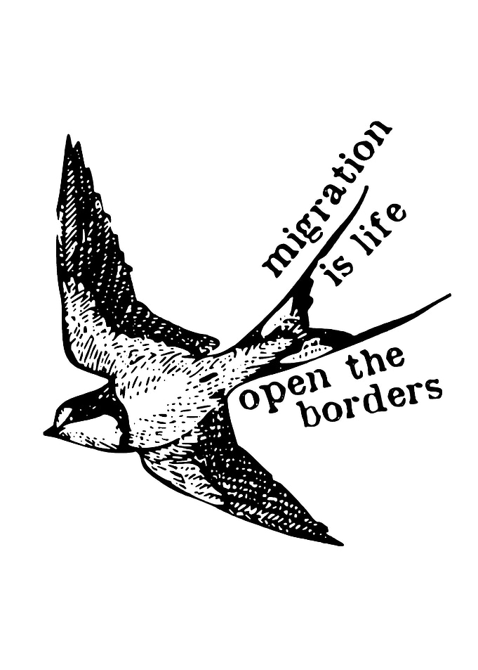 Bird with text