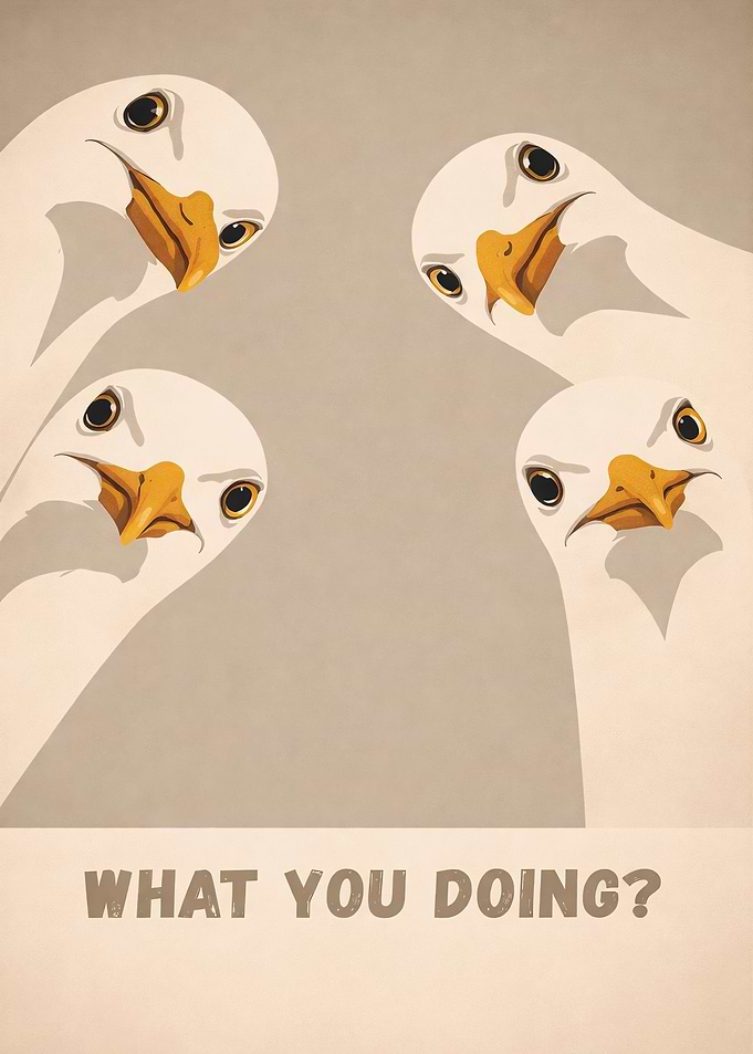 Four Geese Asking 'What You Doing?'