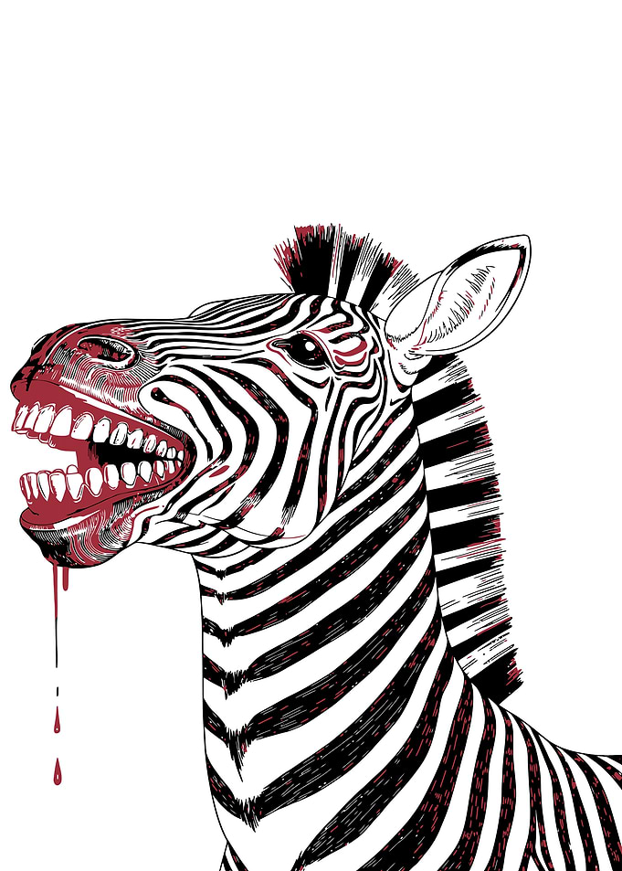 Bloody Zebra Head Illustration