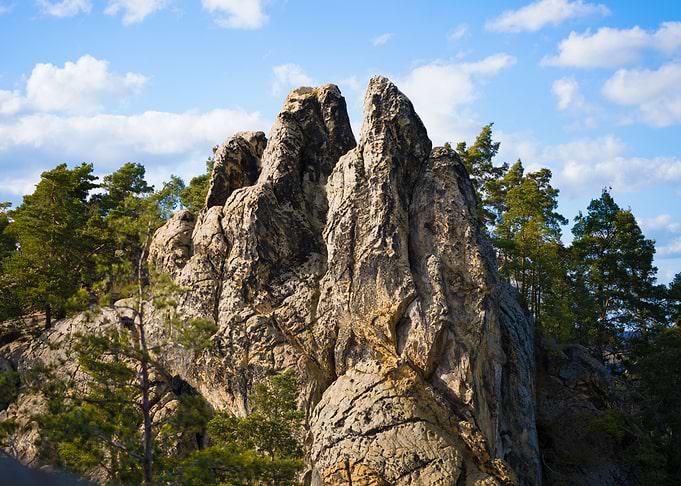 Jagged Rock Formation Amidst Pine Trees