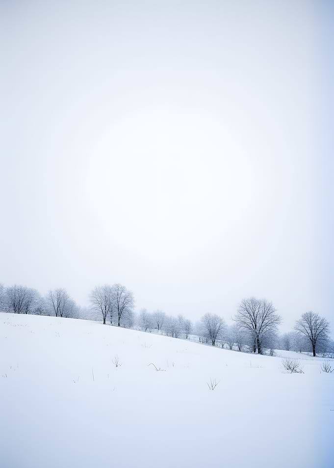 Snowy Hillside with Bare Trees