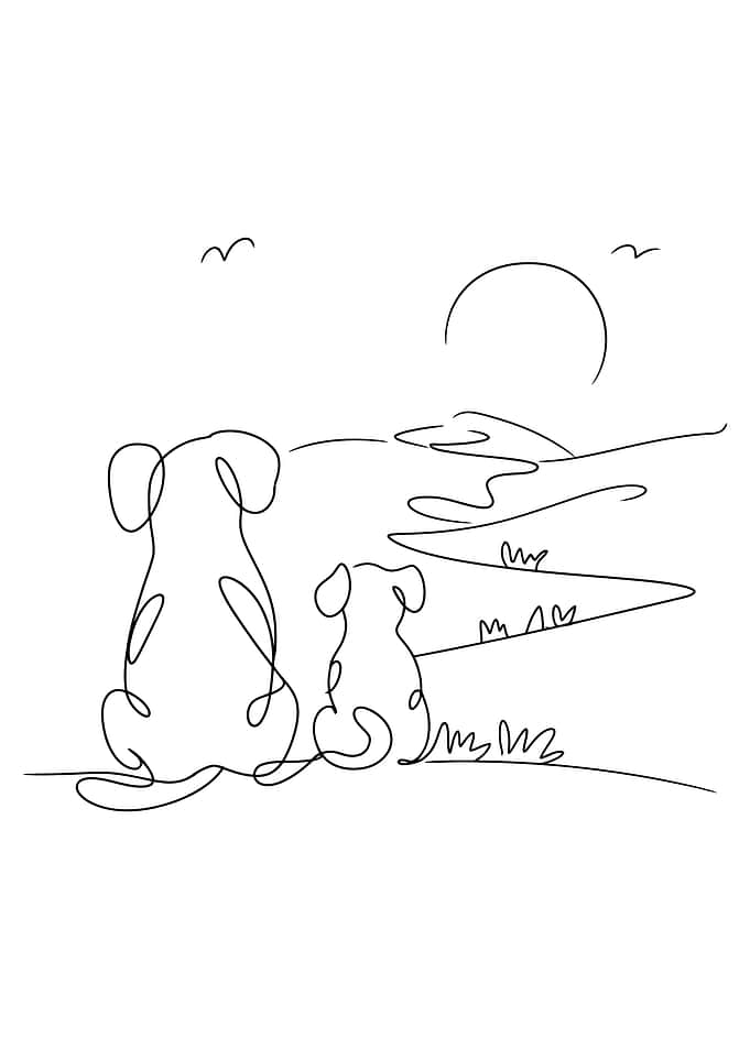 Two dogs watching the sunset