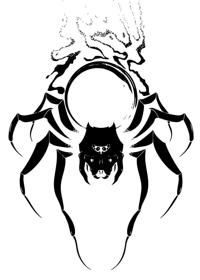 Black Spider with Orb and Smoke