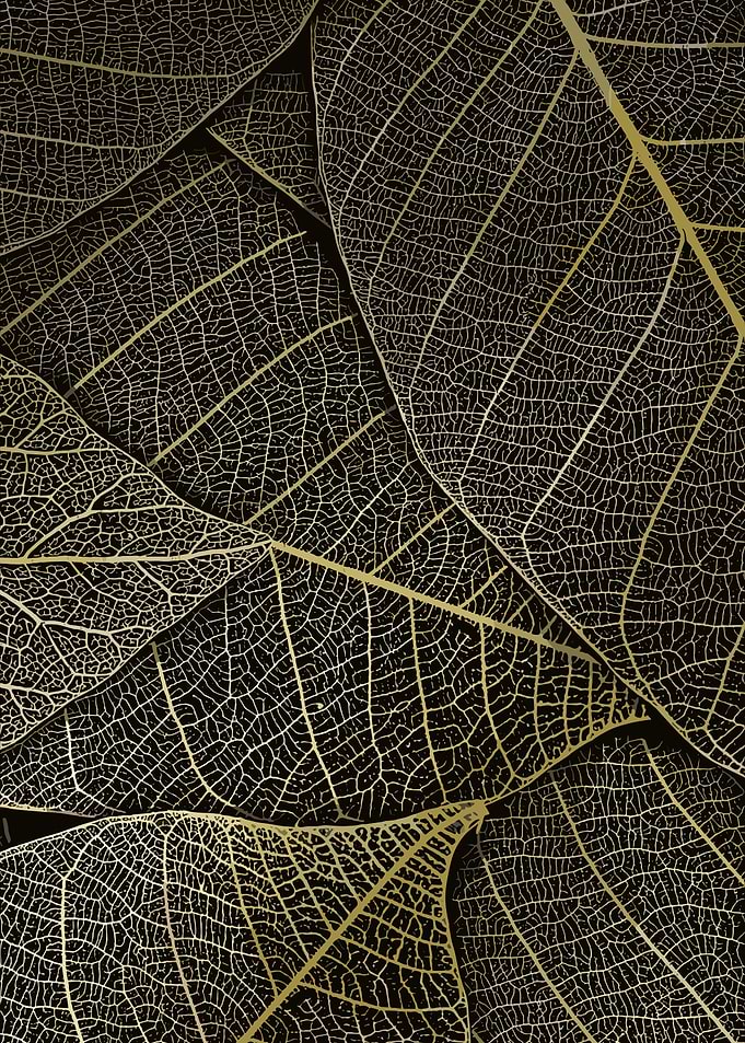 Leaves Macro