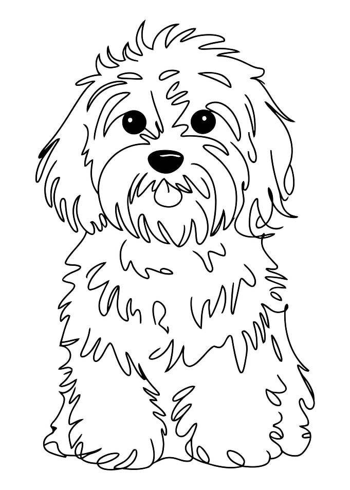 Cute fluffy dog line art