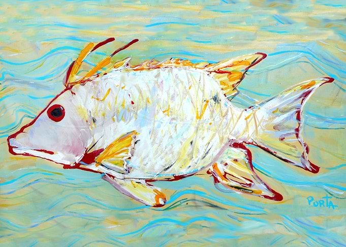 Florida Keys Hogfish