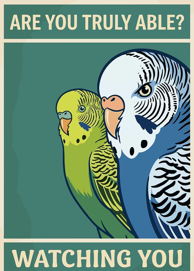 Budgies Watching You