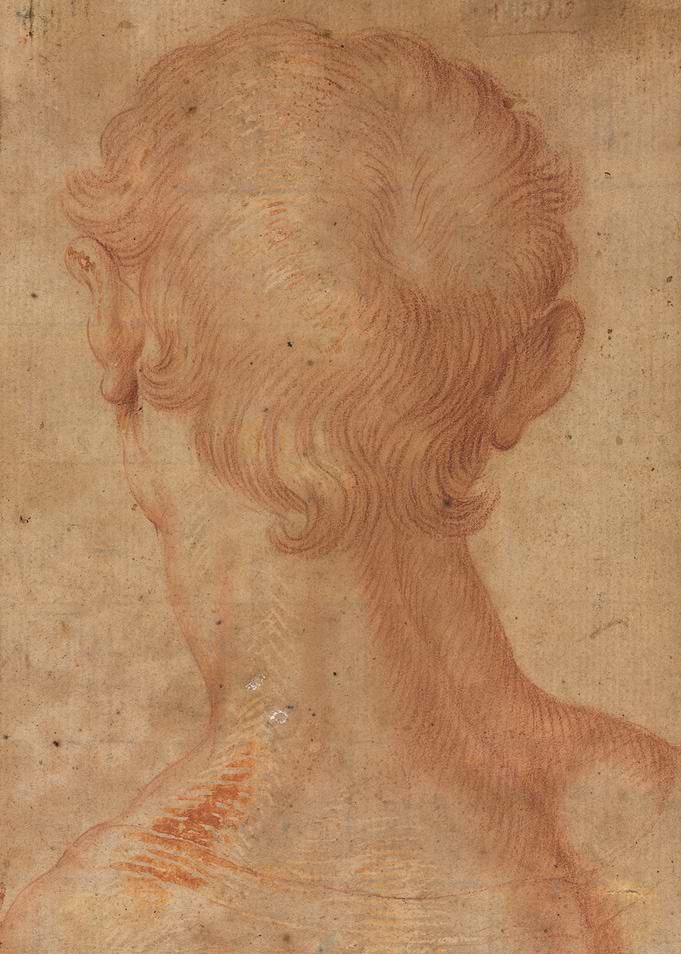 Drawing of a Head from Behind
