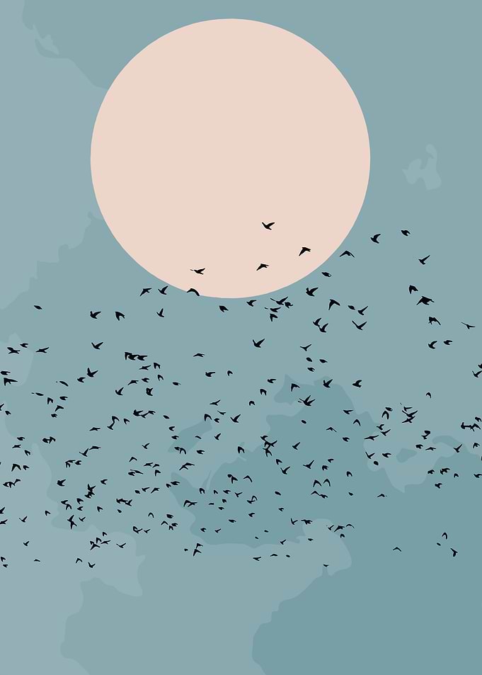 Flock of Birds Against a Large Moon