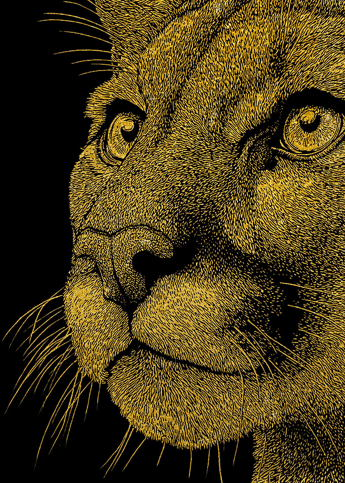 Golden Lion Portrait