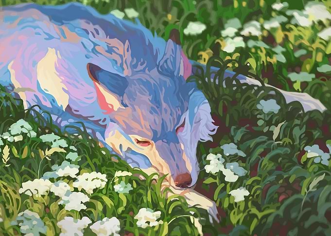 Wolf Sleeping in a Field of Flowers