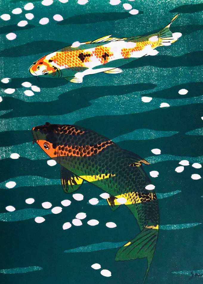Two Koi Fish Swimming in Water
