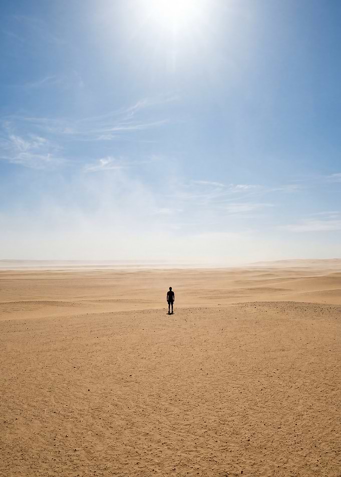 Lone figure in vast desert landscape