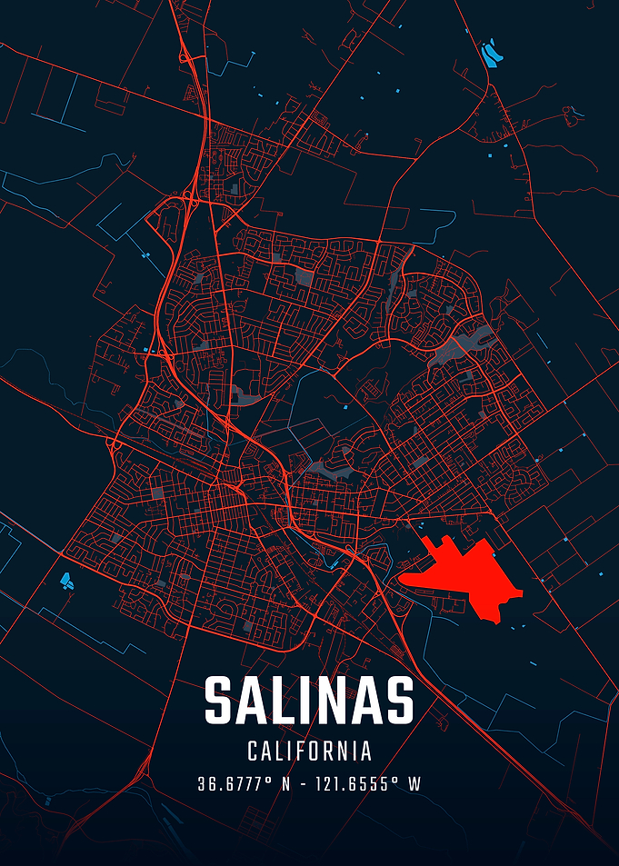 Salinas California City Map