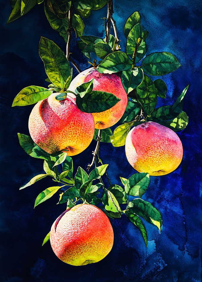 Vibrant Grapefruits Botanical Watercolor Art