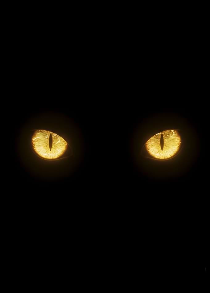 Glowing Cat Eyes in Darkness