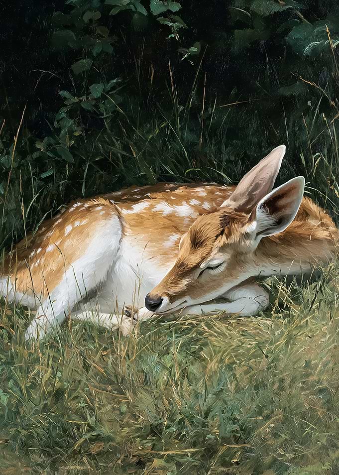 Fawn Sleeping in Grass