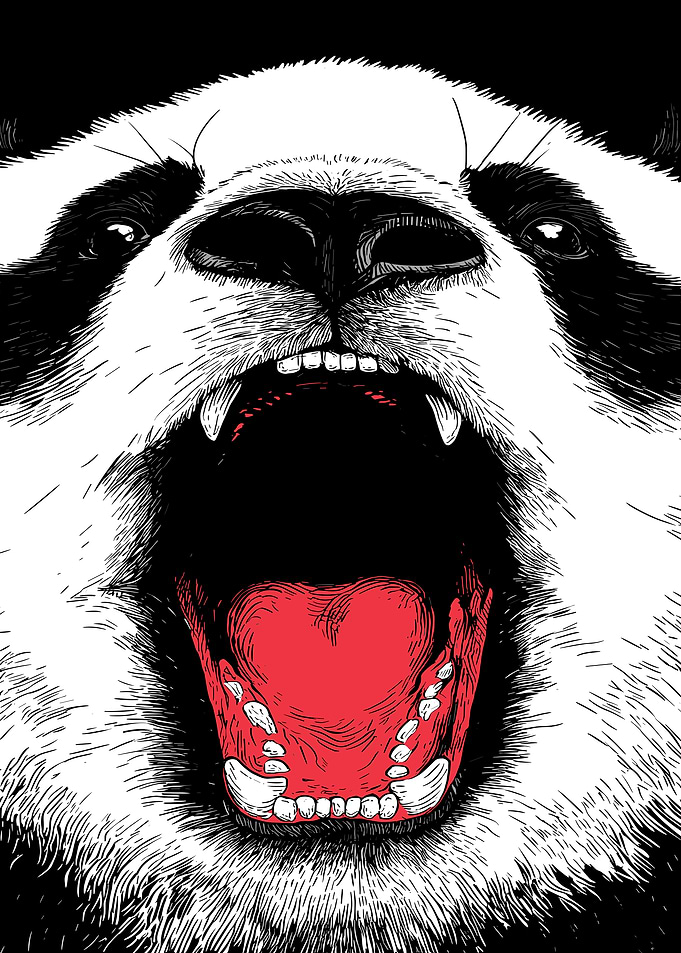 Aggressive Panda Roaring